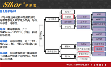 薩科微以什么基礎上市？